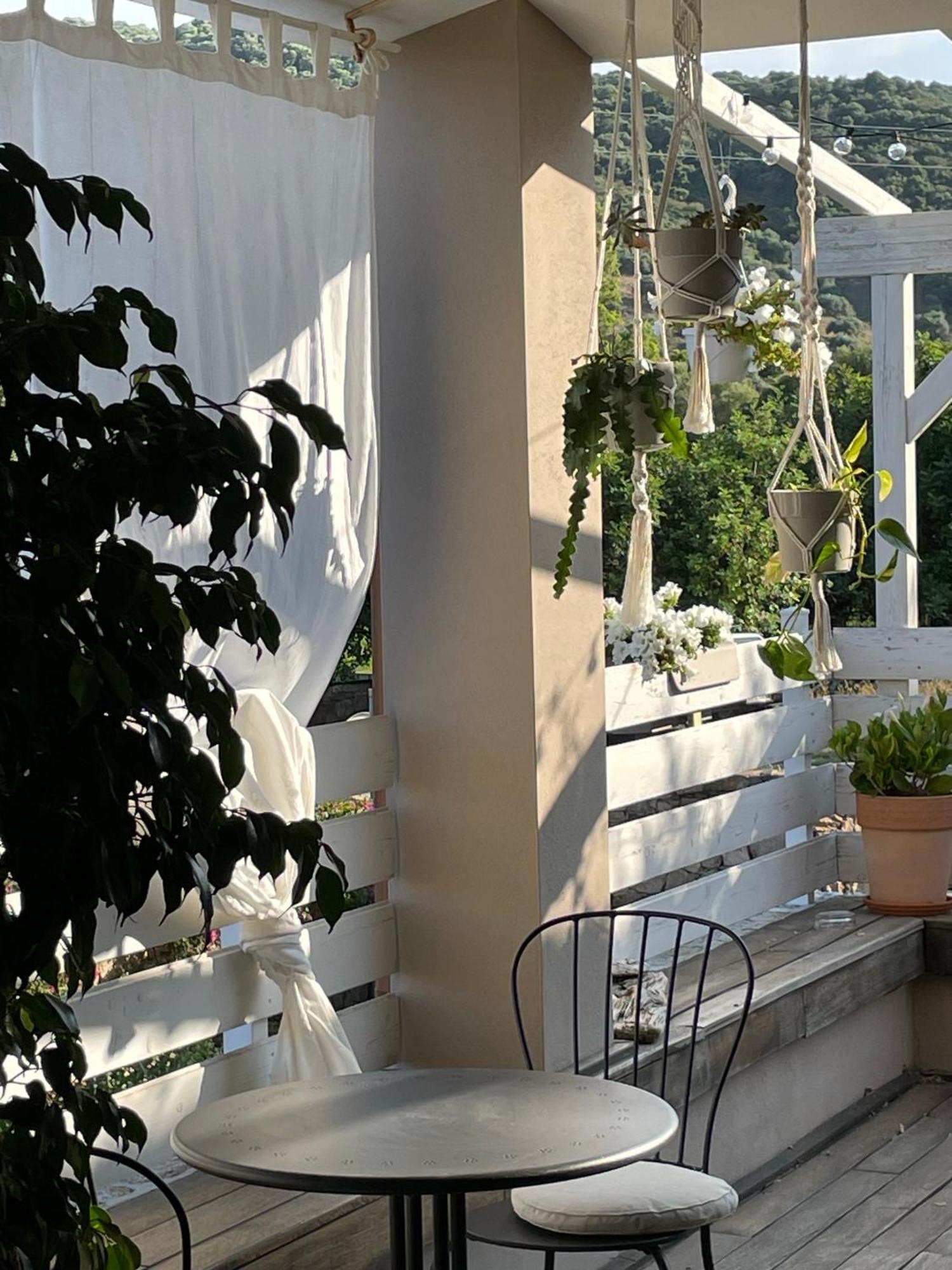 La Pecora Nera B&B Budoni Esterno foto